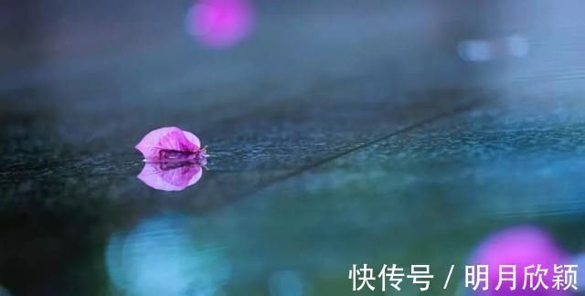 伶仃!窗棂飘下雨星星,易愁生,已愁生,阶上落花,孤影自伶仃