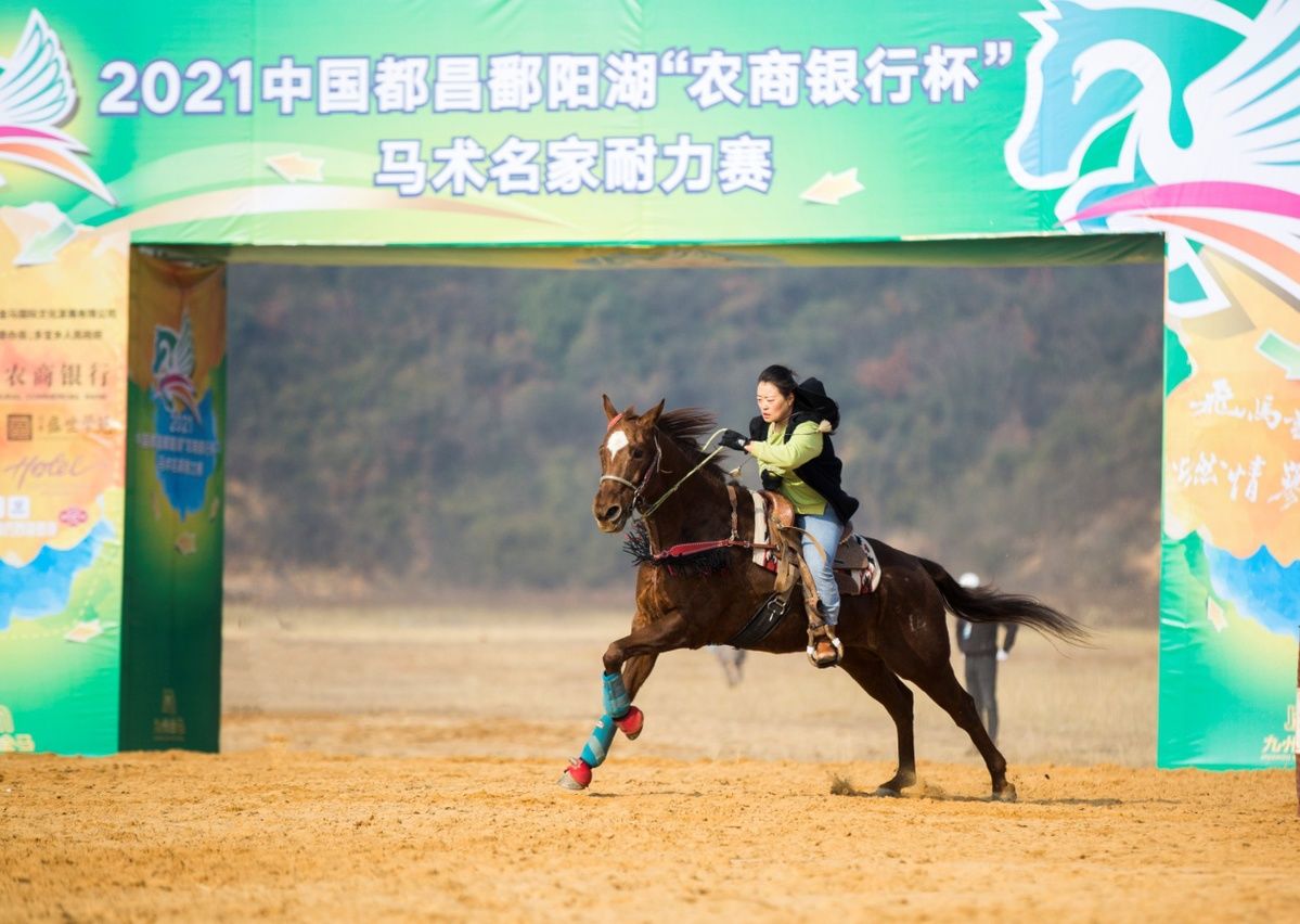 鄱阳湖|2021中国都昌鄱阳湖“农商银行杯”马术名家耐力赛