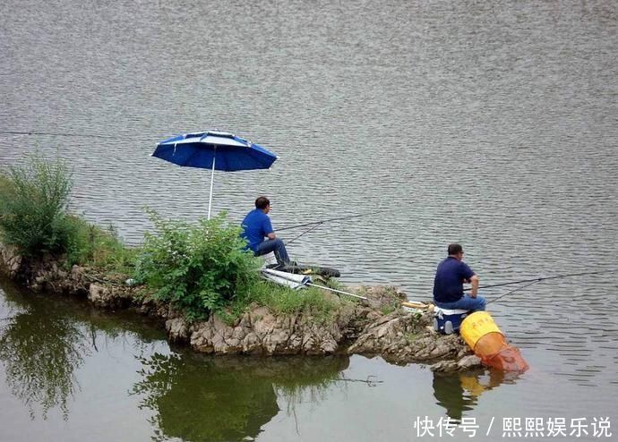 夏天|夏天的鱼都喜欢在这几个地方扎堆，把钓位选在这准没错