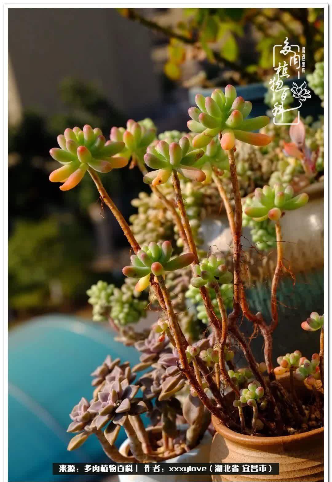 时光匆匆,一闪而逝,这世间万物的美,都值得被记录!