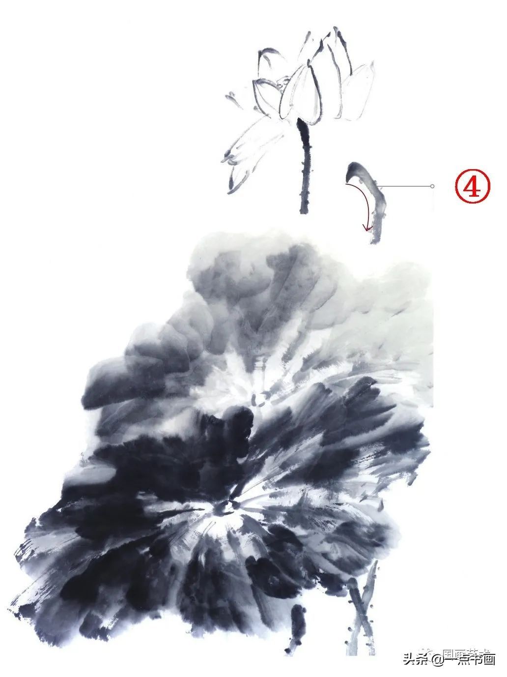 一学就会画荷花金鱼