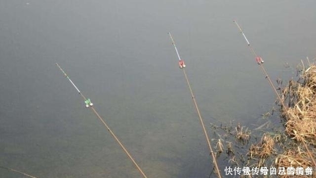 五月了,大板鲫只需照我说的钓,不吹不黑,鱼护爆满那都不是事