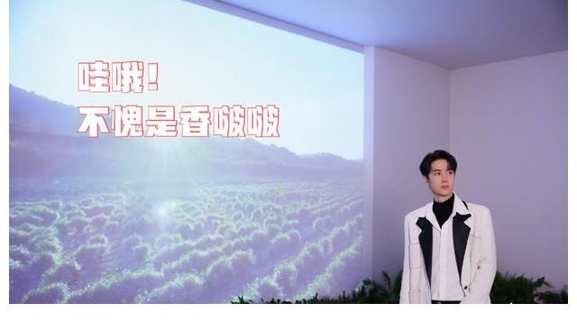 王一博多受追捧？从商业价值到主流文化，顶流影响力被认可