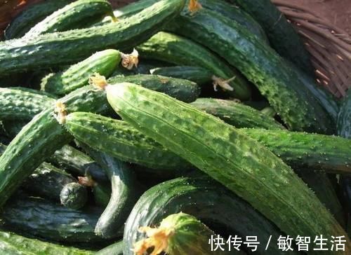 小技巧|买黄瓜时,直的好还是弯的好?教你3个小技巧,黄瓜鲜嫩又好吃!