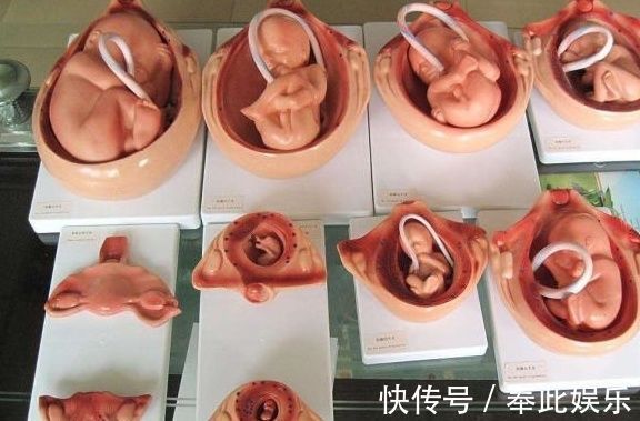 医生|怀孕8个月,老婆就生下了宝宝,丈夫:这是亲生的?