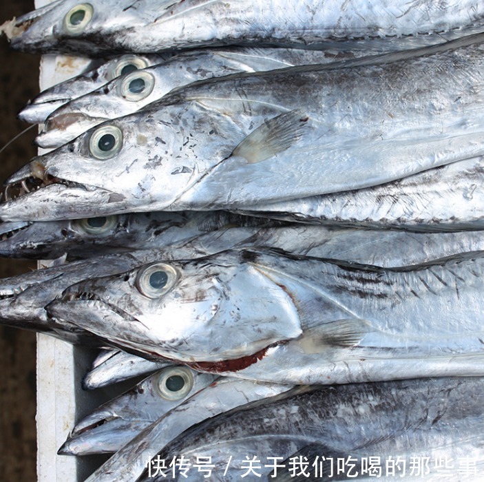 都是带鱼,为啥有的一斤10元,有的300元?老渔民告诉你差在哪儿