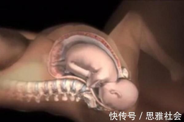 疼痛|顺产为什么那么疼,疼在哪?3张图带你看分娩过程,看完好心疼