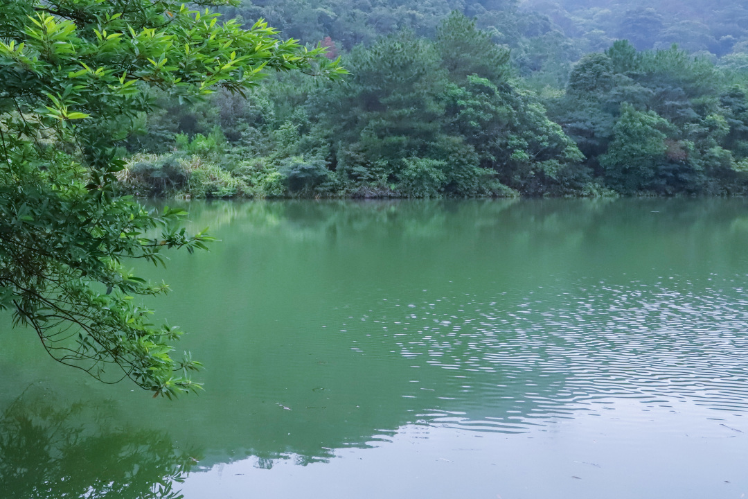 重阳|观音山重阳登高敬老行，品素食、许心愿…多重好礼不停歇！