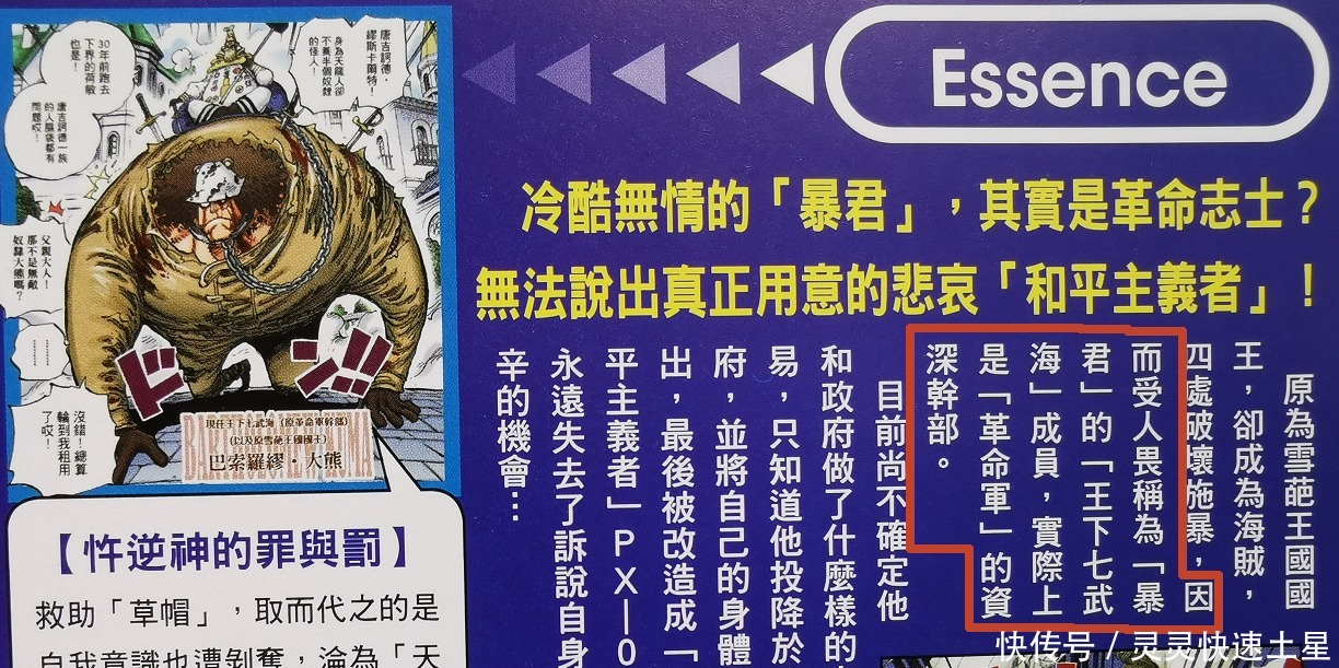 贝加庞克|海贼王官方资料暴君、七武海、革命军干部，熊到底还有多少秘密