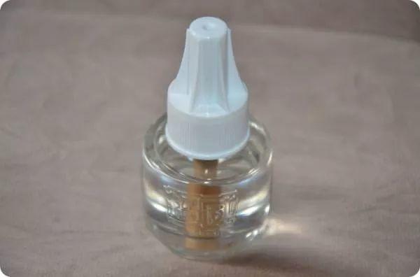 夏天养花“招虫子”6种方法存好了,安全又有效!