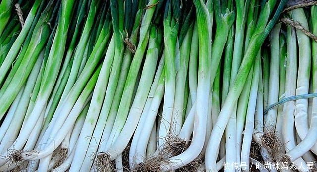 “生葱熟蒜,韭菜一转,老鱼嫩猪”是啥意思许多人都误会了
