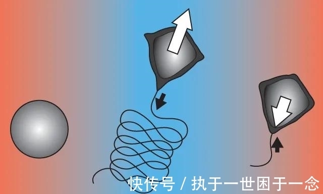 烷烃|Nature子刊：油滴“游泳”，姿势少见