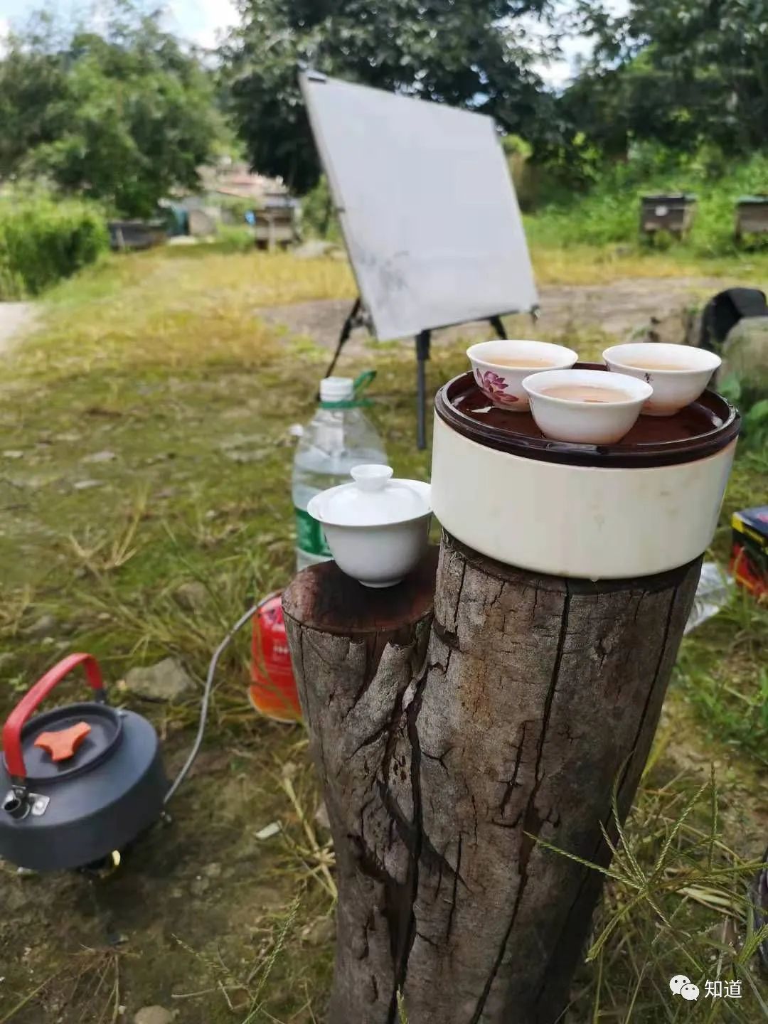 以此意$中学为体、西学为用,那么山水画中的“体”、“用”分别指什么?