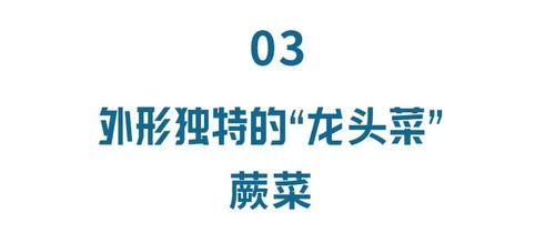 三四月里吃点它，抗菌消炎、护心养肝，大病小病都“绕道”！