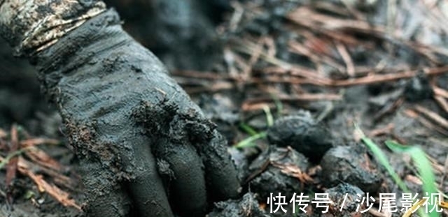 山药|冬天别总吃大鱼大肉，多给家人吃“地下8宝”，补足营养过寒冬