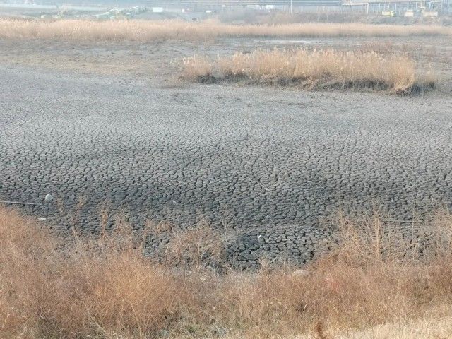 黄河|触目惊心！黄河河道，竟沦为大型固废“垃圾场”？