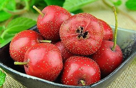 养肝补血|女性到了中年常吃四种食物,养肝补血,排毒清肠,提高身体抵抗力