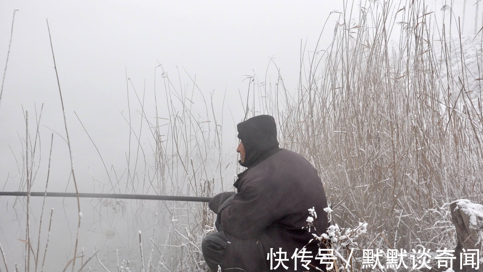 天越冷鲫鱼咬钩越积极?这可不一定,这两种情况最好不要下竿