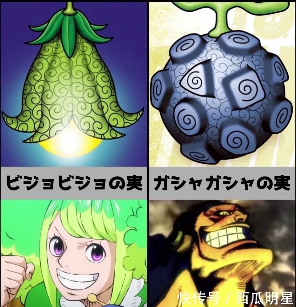 果实|《海贼王》恶魔果实,你最想拥有哪种?花花果实最漂亮