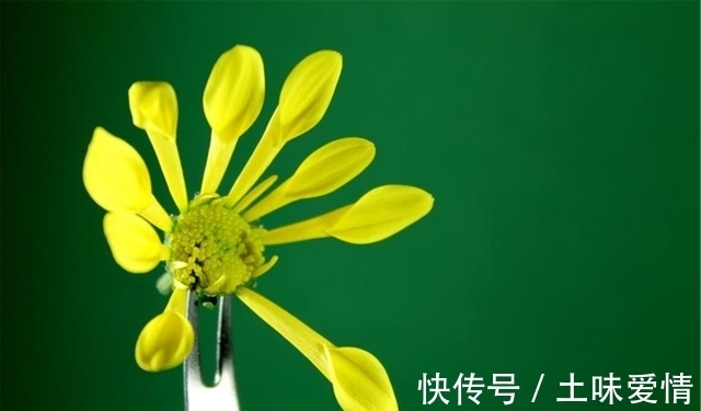 分寸|做人,可以精明,但不能“过头”