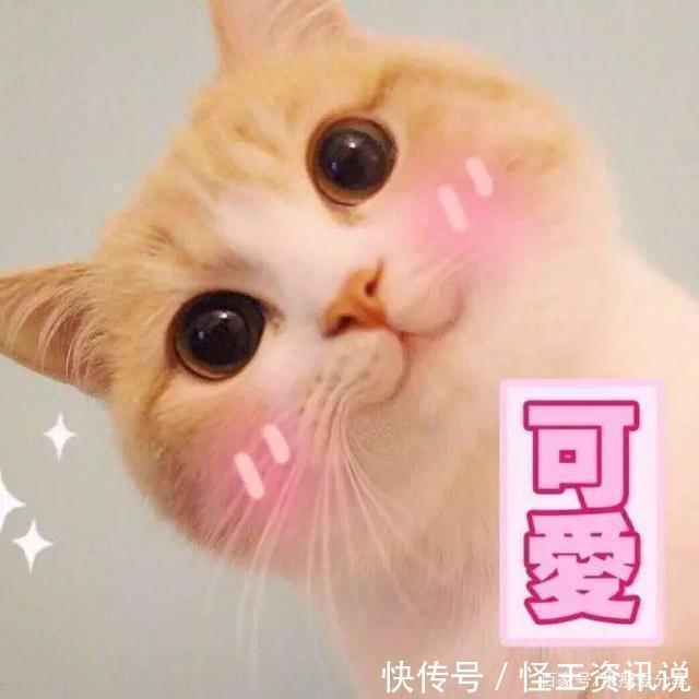 网红5款洗面奶拔草,干皮紧绷感十足,风刮很大实际很差!