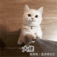 局部#有一种“敷衍”,叫美术生的考试时间还剩5分钟