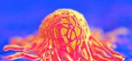 癌症|癌症自愈情况的出现，或许与4个方面也相关，不妨了解下