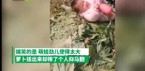 兴趣爱好|萌娃边唱歌边拔萝卜，下一秒摔了个人仰马翻，网友：萝卜太不配合