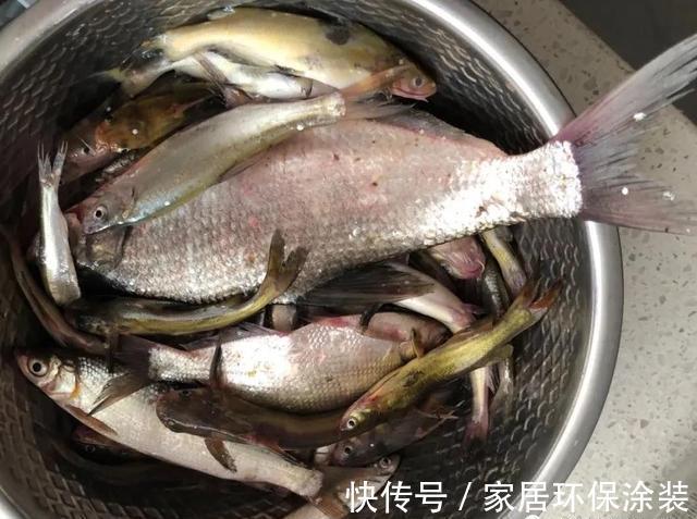 通江|新闸通江处，再钓柳叶鳊