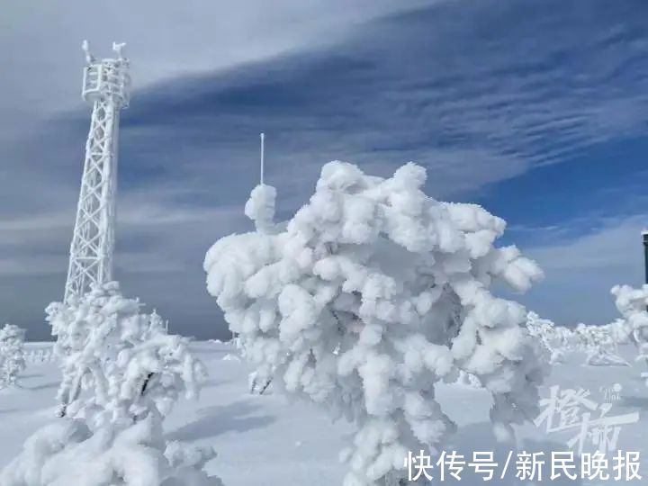 失联|挤爆了！昨天上万人涌入这个地方赏雪！一对年轻男女失联！还有人背婴儿上山