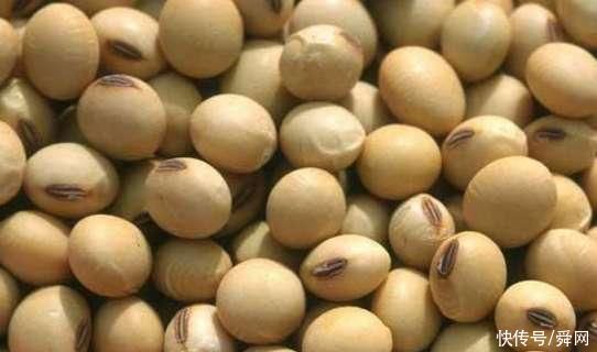 干鱿鱼|为何腰部、背部、臀部容易长脂肪，脂肪最怕这几种食物