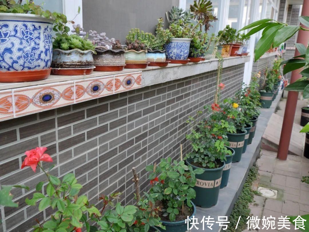 显摆一下我的家丨花开香满院，爱花人在自家庭院建小花园