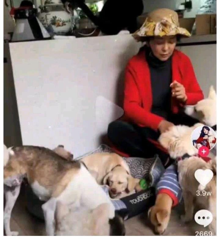 哈希娱乐- 哈希游戏平台- 哈希游戏官方网站洗剪吹_标签_网易出品