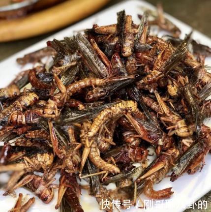 小时候|5种小时候坚决不吃,现在却觉得“真香”的菜,你中了几个?