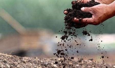 养花土里加点料,肥的流油,从来不板结,开花太猛了