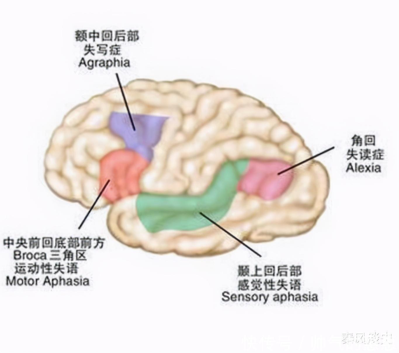 小儿子|当了17年老师，却根本不识字！当谎言被拆穿后，反倒柳暗花明