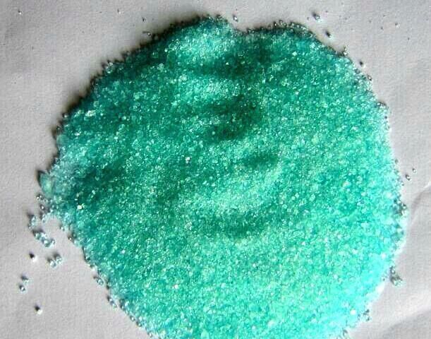 小白花|茉莉开花少?赶紧做1点,花朵挂满树,小白花又多又美!