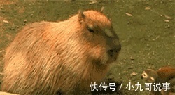 |10个幽默小笑话,开心一笑!