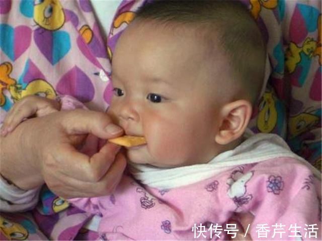 乳牙|捕到巨型石斑鱼,一条就顶人家一箩筐,渔民开心的一天