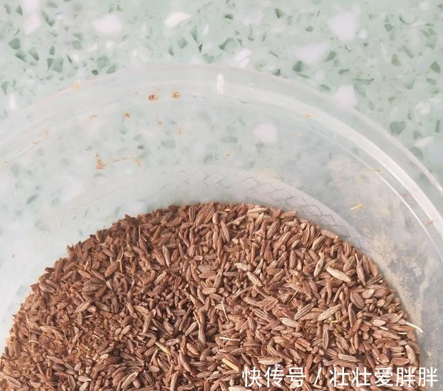 羊杂|家常爆炒羊杂!