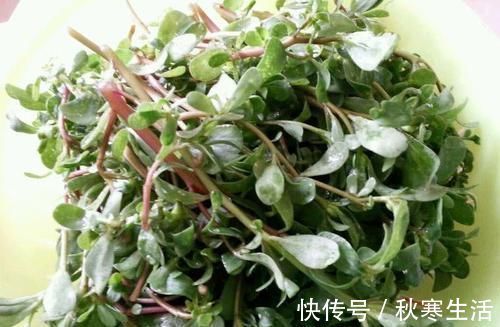 肠道清洗剂|便秘别急着吃药,常吃这几种食物,排毒通便,身体更健康