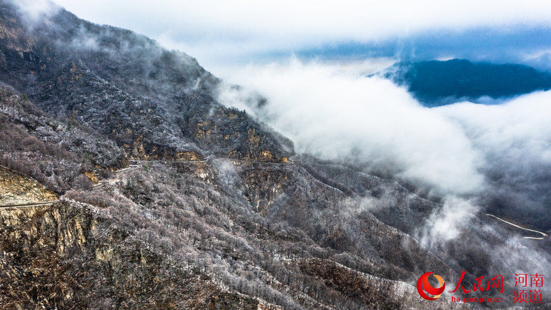 雪山|洛阳白云山：云海缥缈 雪山壮观