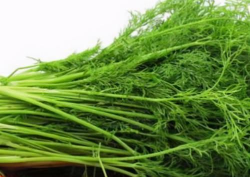 杨梅杨梅|人到中年想长寿,不妨坚持吃3种食物,美容养颜、滋补身体!