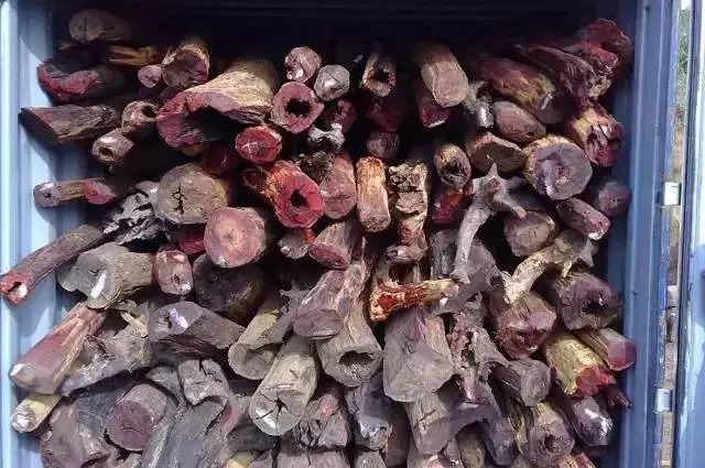 紫檀|紫檀从原木到手串全过程!图文并茂!