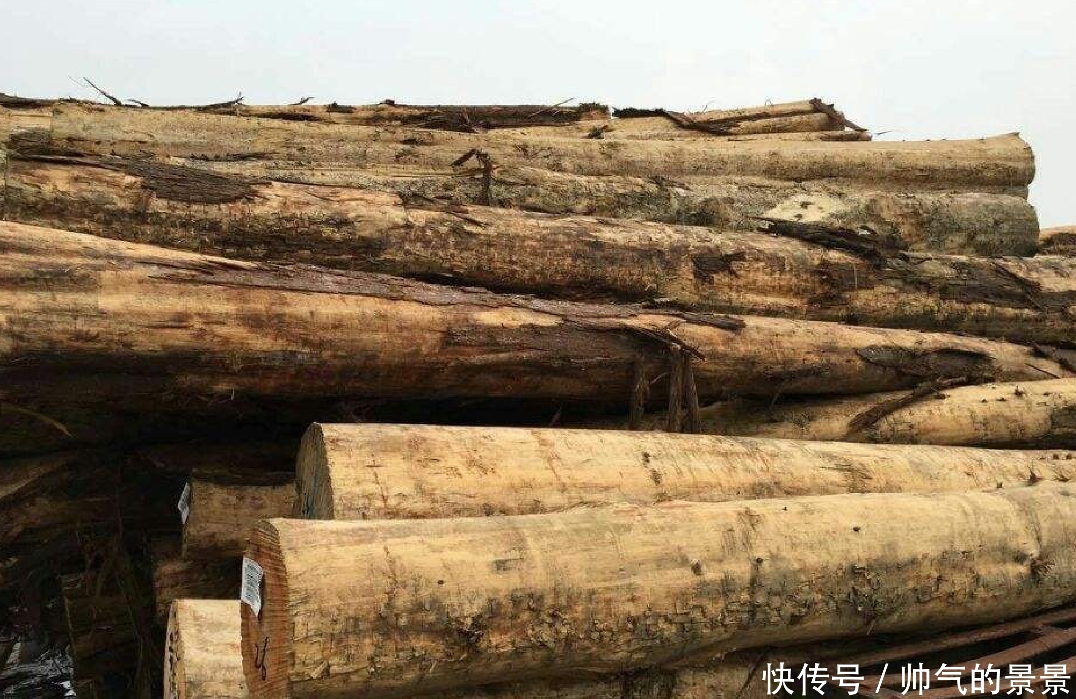 帝王|黄肠题凑有多神奇?盗墓贼炸出19米的盗洞,没有拿到一件东西