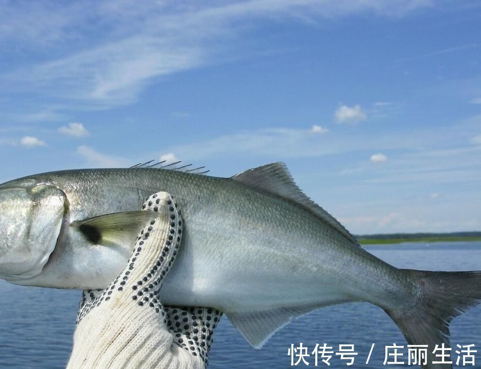 血脂异常|高血脂的祸根被发现,吃肥肉仅排第三,排首位的很多人都喜欢吃