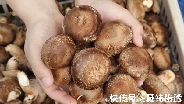 洗净|洗净香菇时,不要只用清水,厨师给你一水,让脏东西容易洗掉
