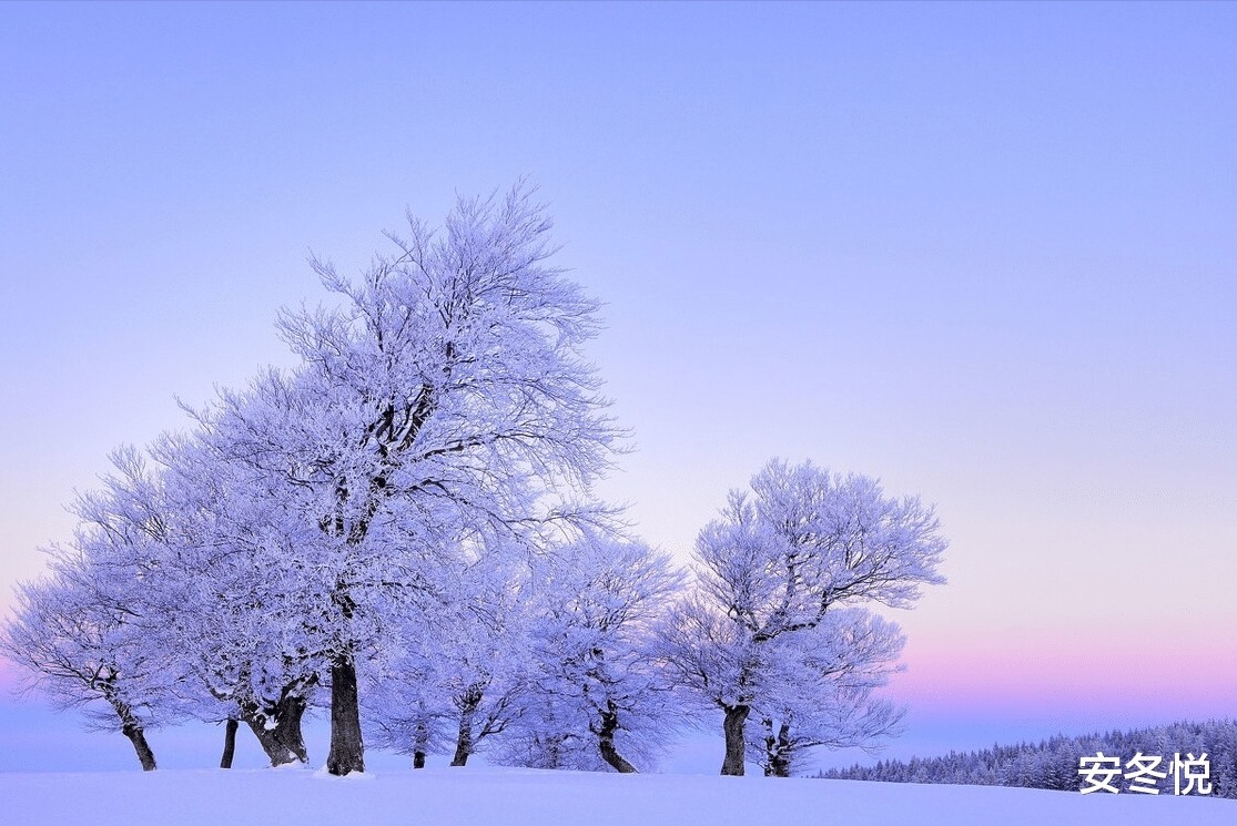 满山川@采撷日光的暖意,走进冬之素简