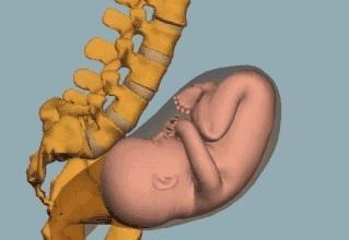 胎儿入盆后,孕妈会有什么感觉?