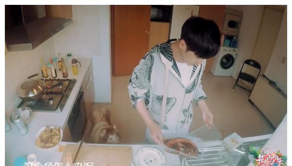 张若昀|张若昀公开自家豪宅内景,超大别墅庭院曝光,家庭条件令人羡慕